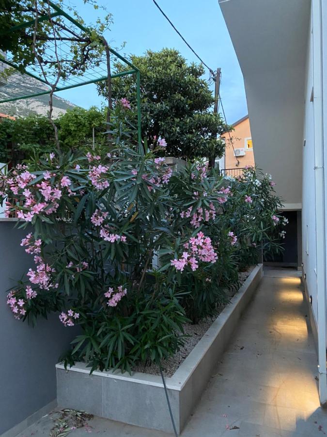 Villa Melassy Makarska Kültér fotó